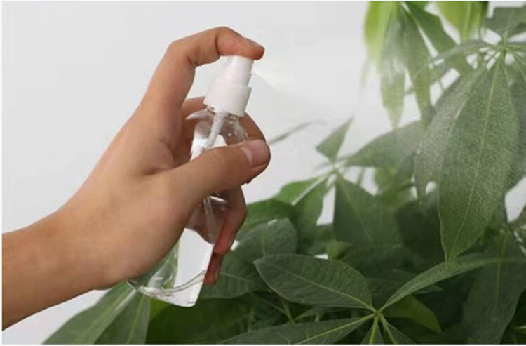 100ml 120ml 355ml प्लास्टिक पेंच टोपी नोजल पंप स्प्रेयर पालतू बोतल हाथ सैनिटाइजर स्प्रे बोतल निर्माता